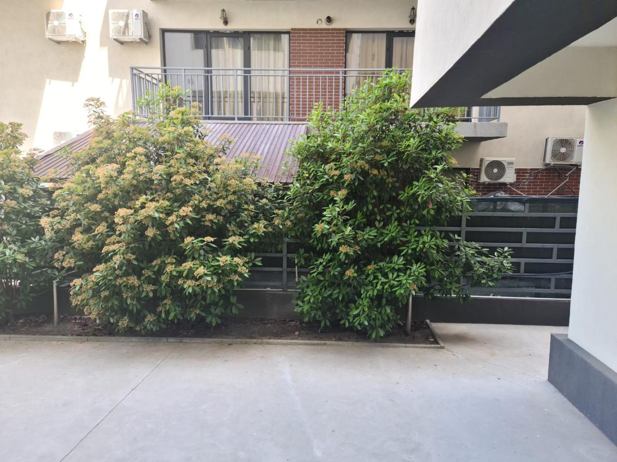 Năvodari Apartament Deea מראה חיצוני תמונה